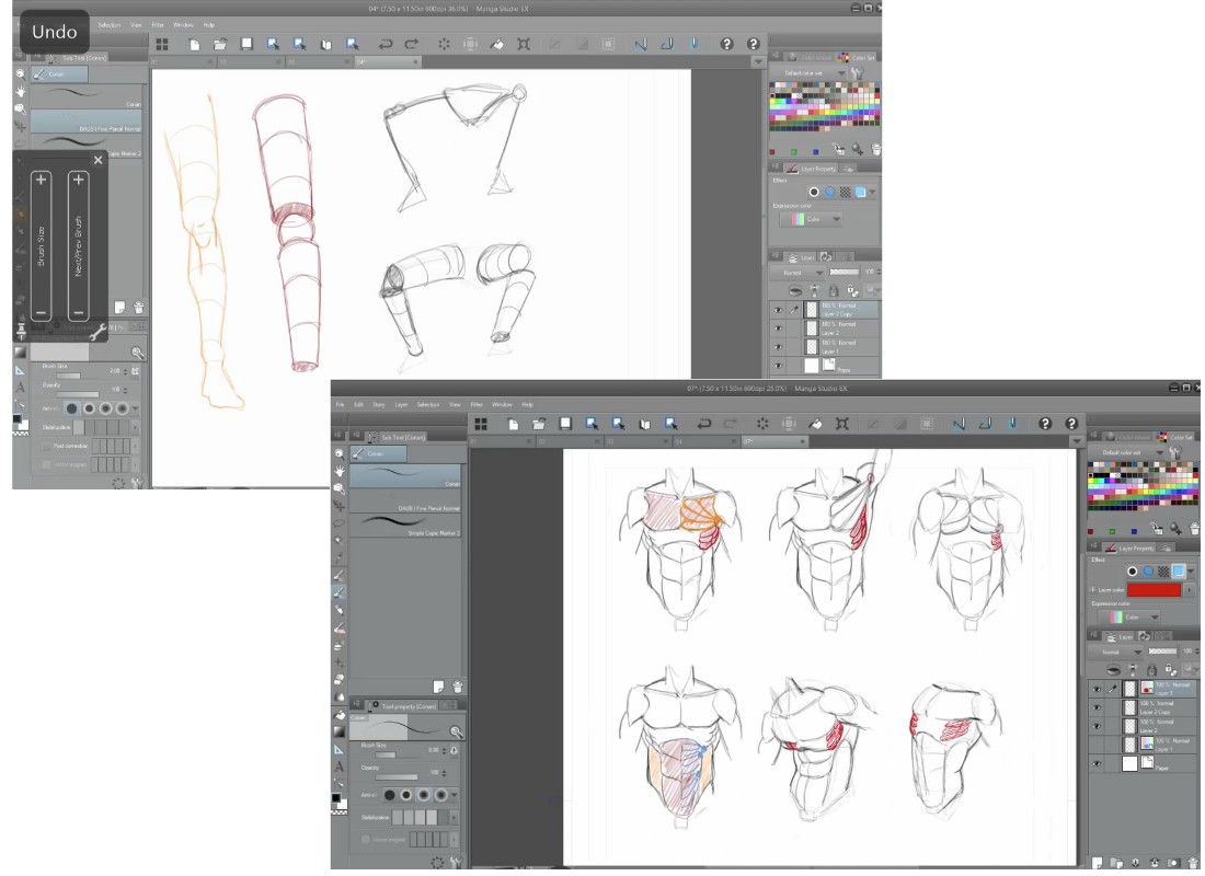Human Anatomy for Illustrators Video Tutorials