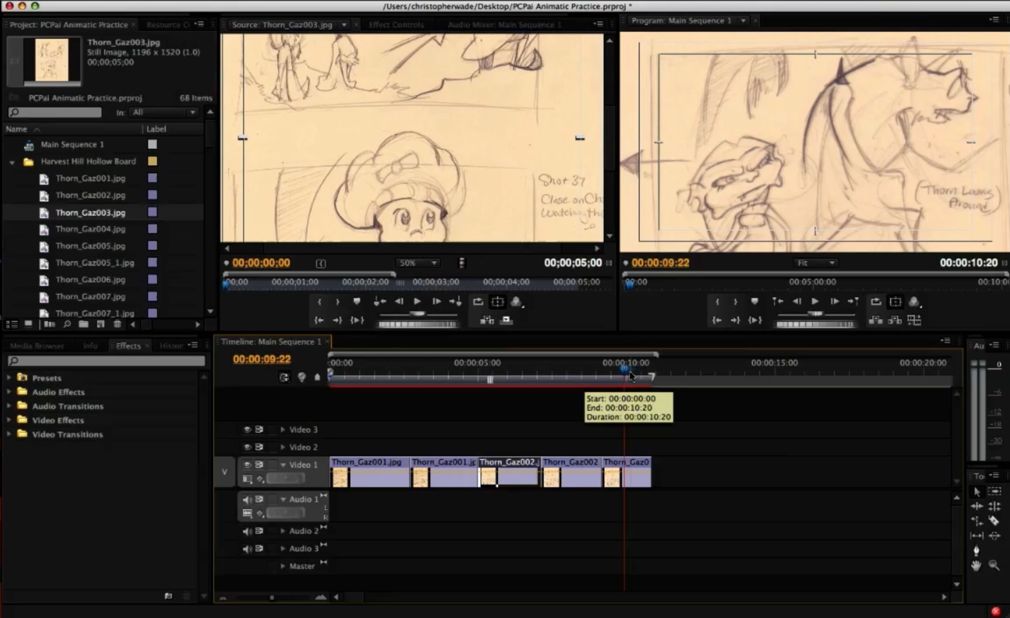 Premiere Tutorial Preview